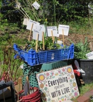 Bild zu Plfanzentauschbörse in der BUND Naturoase - zeitgleich mit dem Grünen Quartier am Kulturhaus Alter Schlachthof Reges Pflanzentauschen in der Naturoase ist seit vielen Jahren erprobt und beliebt. Es sind immer wahre Pflanzenschätze und auch Seltenheiten im Angebot. Und am 12. April gibt es eine weitere Gelegenheit in der Naturoase Pflanzen zu tauschen. © BUND Soest/Welver