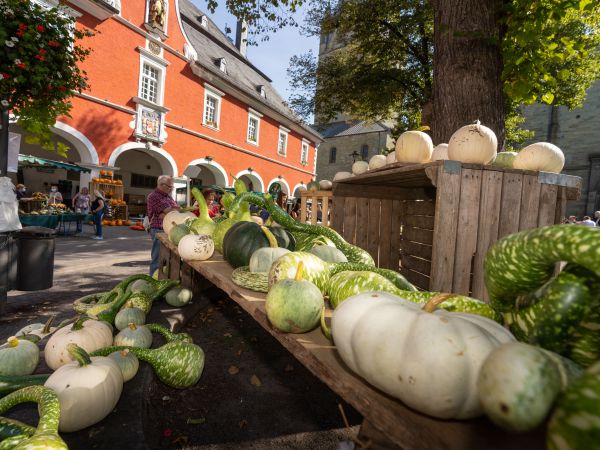 Bild zu Bördebauernmarkt &copy; Gero Sliwa