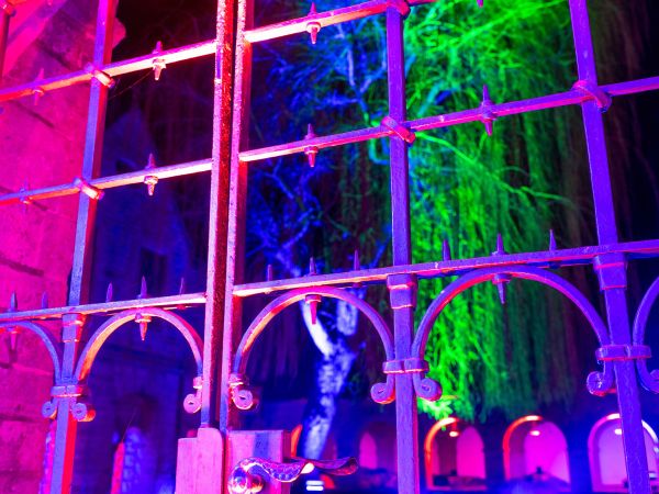 Bild zu Winterstrahlen - Begleiteter Abendspaziergang zum Guerilla Lighting &copy; WMS, Gero Sliwa