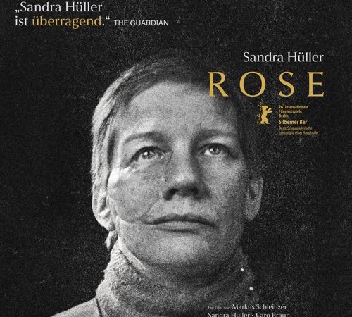 Bild zu Rose &copy; 