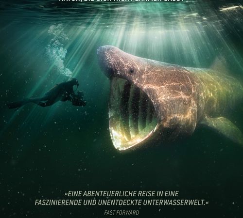 Bild zu Die wilde Nordsee - Natur, die sich nicht zähmen lässt &copy; 