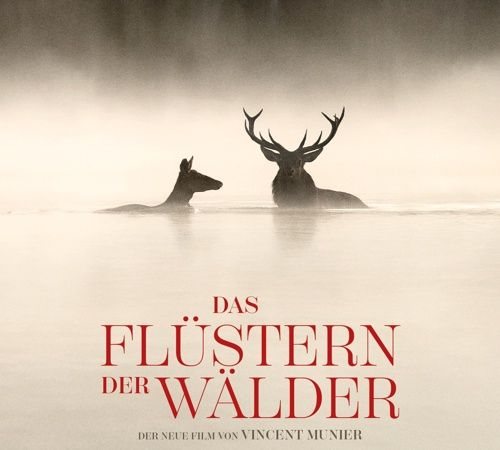 Bild zu Das Flüstern der Wälder Bild zu Das Flüstern der Wälder ©
