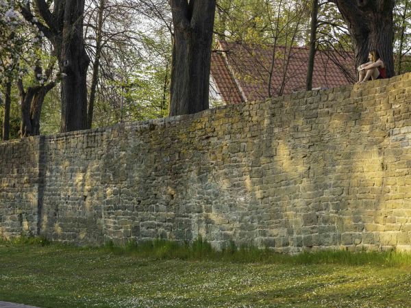 Bild zu Der Soester Wall - eine wechselhafte Geschichte &copy; WMS, Gero Sliwa