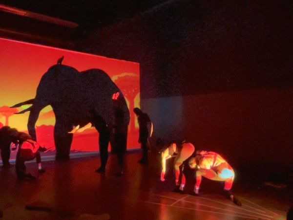 Moving Shadows &copy; (c) Michaela Koehler-Schaer