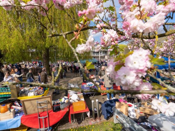 Bild zu Antrödeln - Flohmarkt