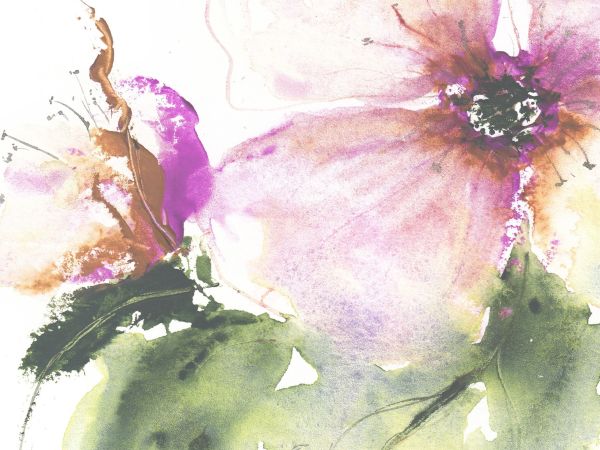 Bild zu Vernissage | 