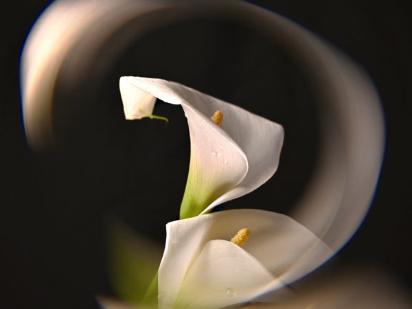Bild zu Vernissage | 