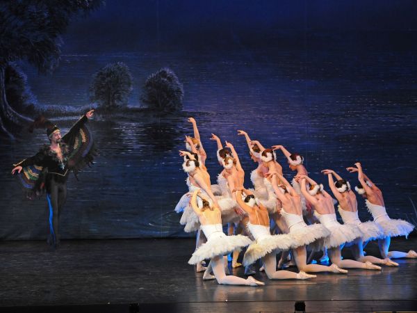 Bild zu Schwanensee - Das Ballettmärchen für die ganze Familie