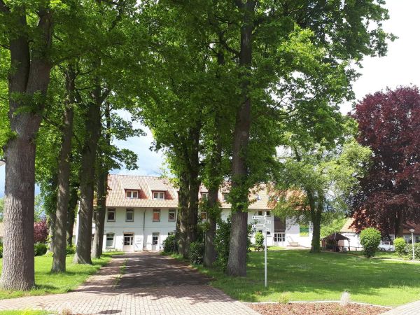 Bild zu Aquarellmalworkshop in Loccum