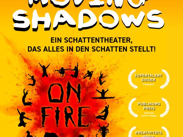 Moving Shadows &copy; (c) Michaela Koehler-Schaer