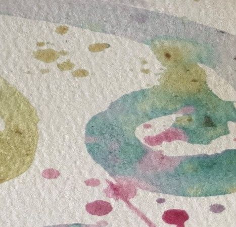 Pflanzenfarben &copy; Foto: Wibke Seibert