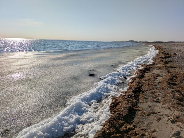 Bild zu Irgendwas mit Bild