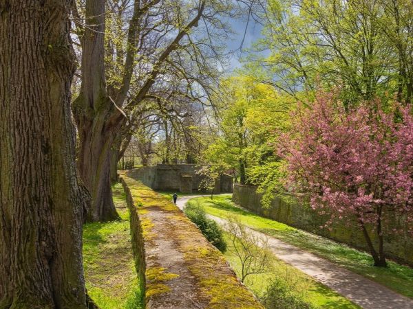 Bild zu Wehrhaftes Soest &copy; Wirtschaft und Marketing Soest, Gero Sliwa