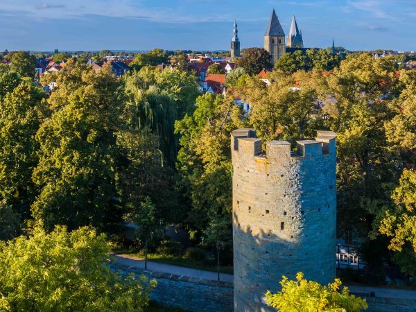 Bild zu Der Soester Wall - eine wechselhafte Geschichte &copy; WMS, Gero Sliwa